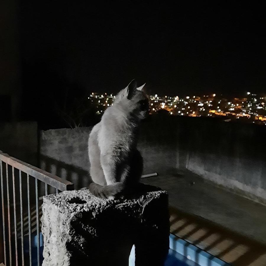 Villa Casa De Temporada Sao Lourenco  Esterno foto